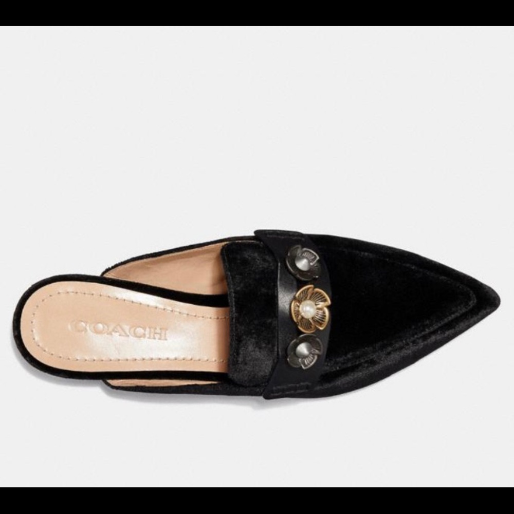 Coach Nova loafer slide - Picture 3 of 4
